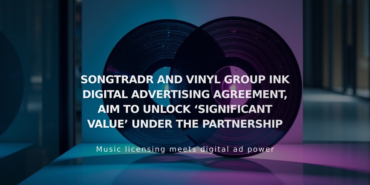 Songtradr and Vinyl Group Partner to Boost Global Digital Ad Revenue in Strategic Alliance