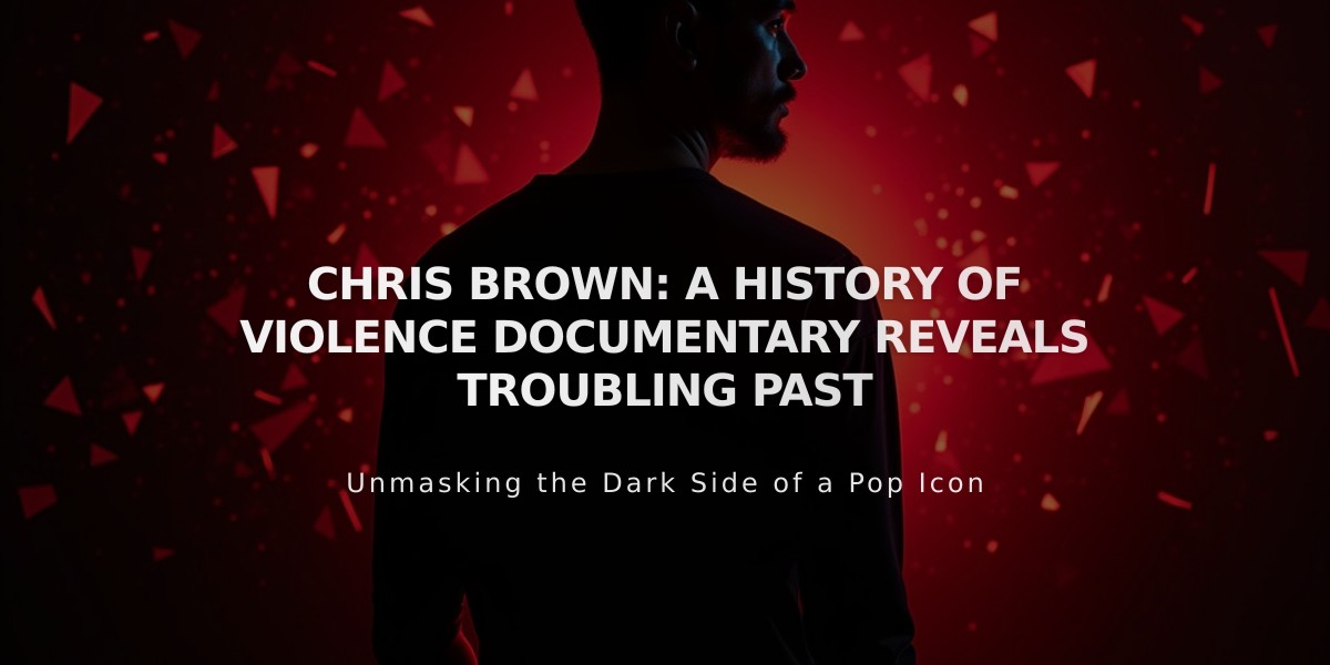 Chris Brown: New Documentary Exposes Star's History of Alleged Abuse and Violence