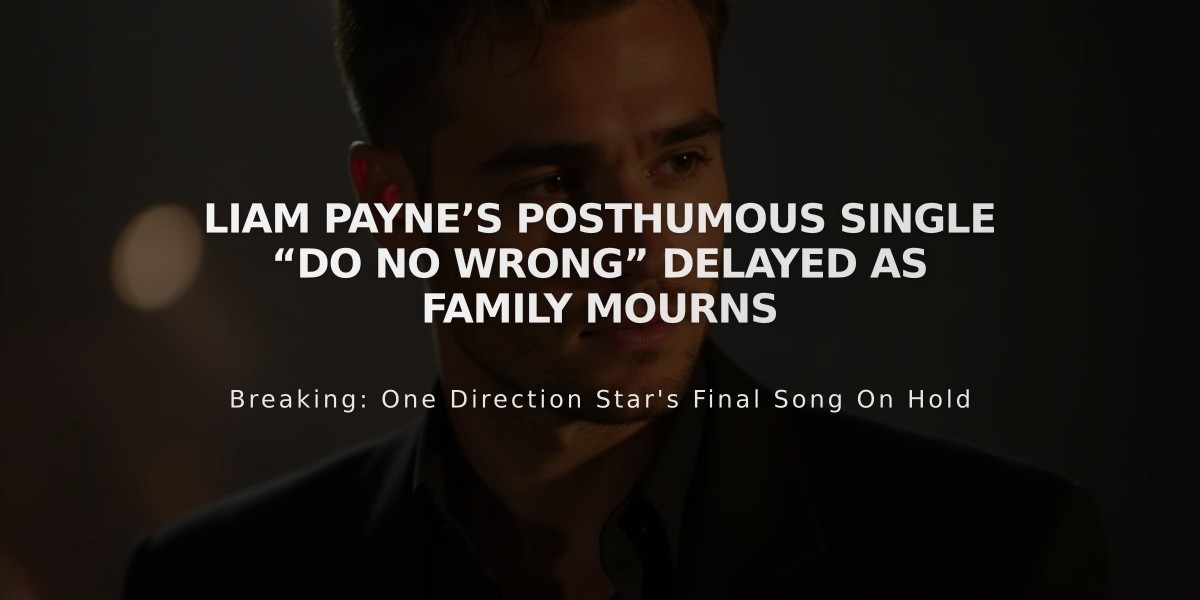 Liam Payne's Final Single "Do No Wrong" Release Postponed Out of Respect for Family