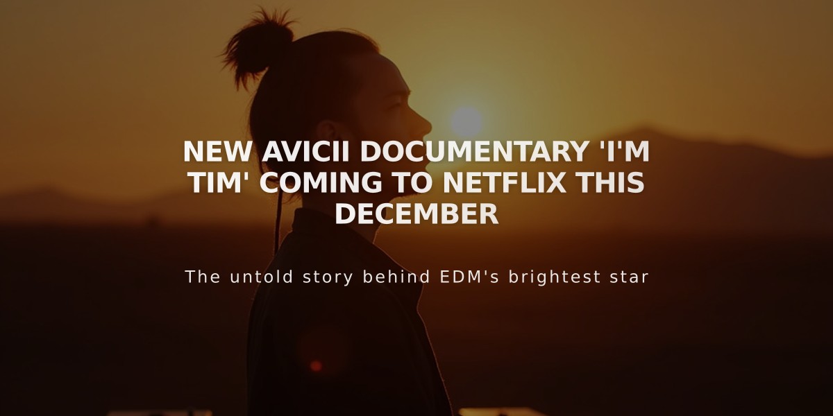 New Avicii Documentary 'I'm Tim' Coming to Netflix This December