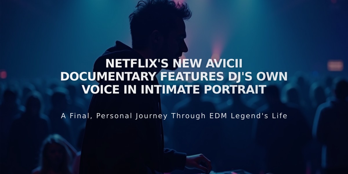 Netflix's New Avicii Documentary Features DJ's Own Voice in Intimate Portrait