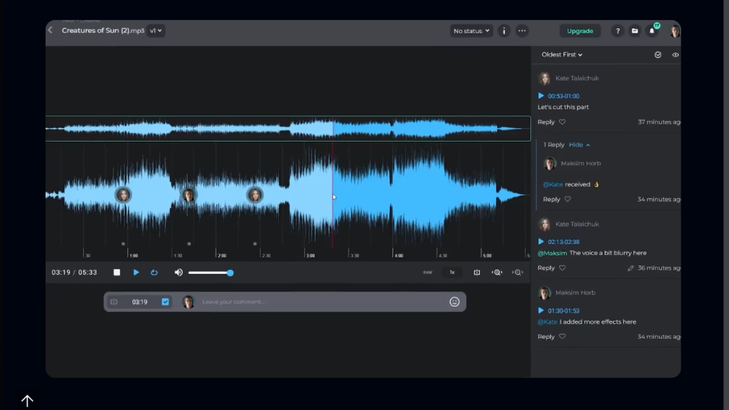 Audio waveforms in editing software