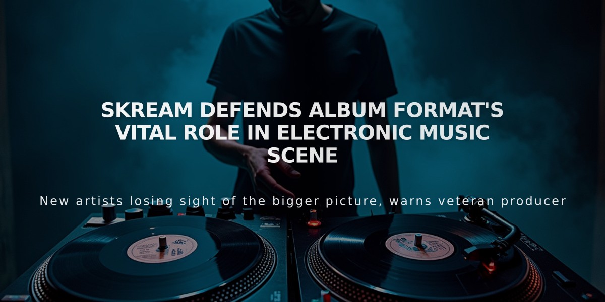 Skream Defends Album Format's Vital Role in Electronic Music Scene