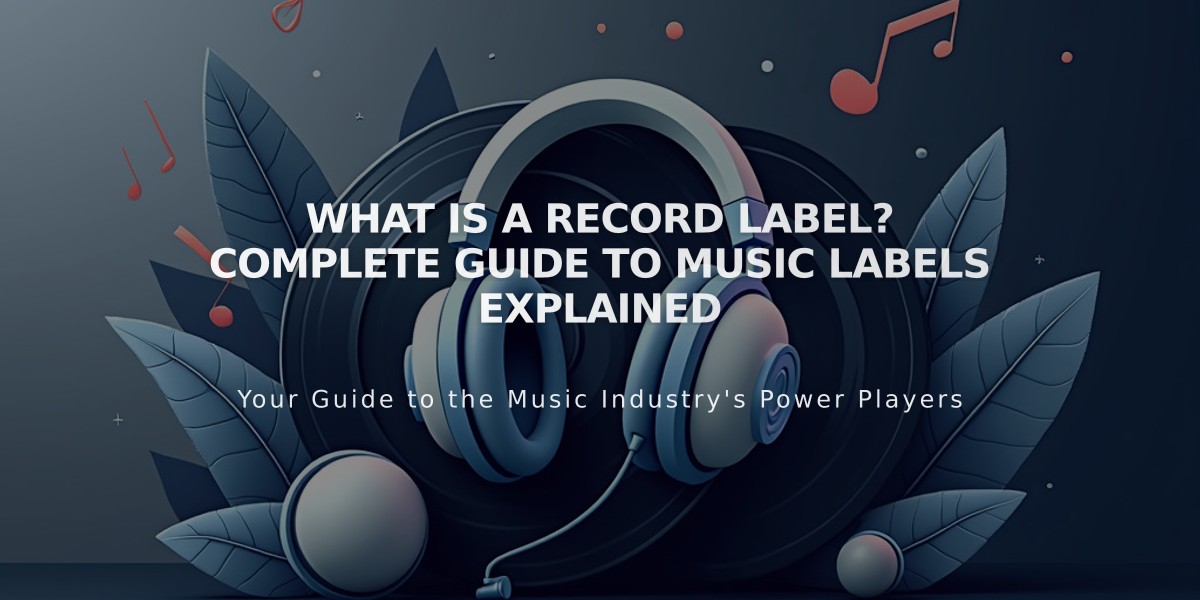 What Is a Record Label? Complete Guide to Music Labels Explained