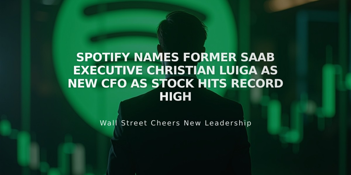 Spotify Names Former Saab Executive Christian Luiga as New CFO as Stock Hits Record High