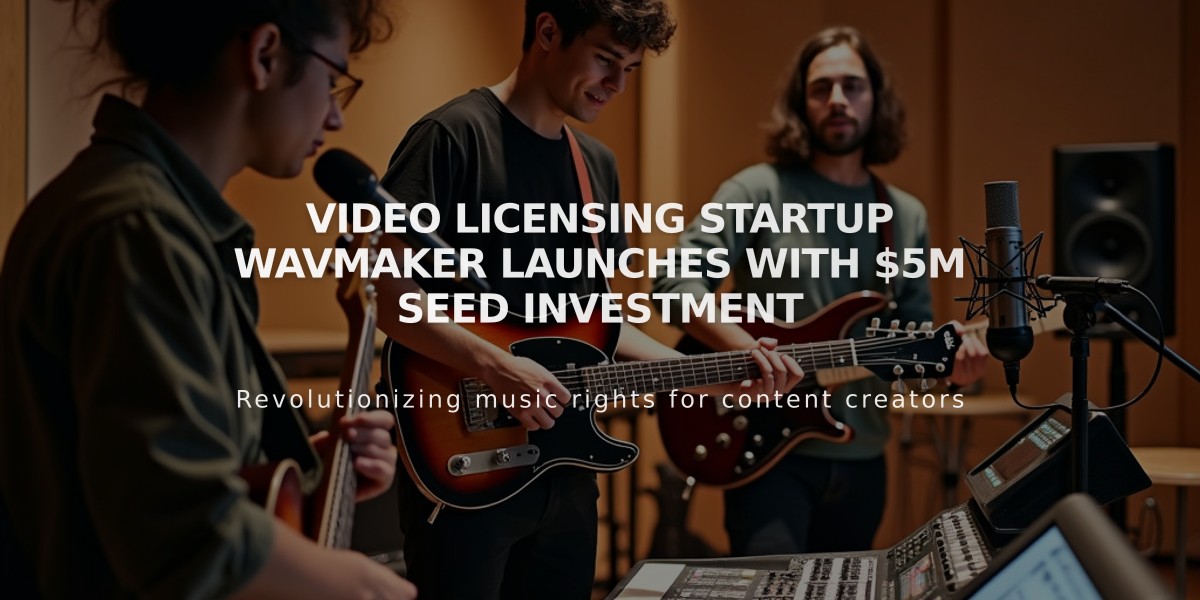 Video Licensing Startup WavMaker Launches with $5M Seed Investment