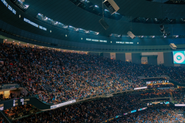 NFL stadium crowd in stands