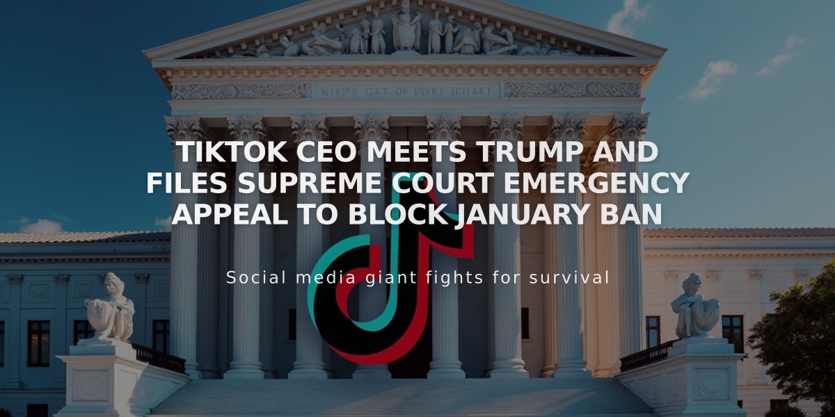 TikTok CEO Meets Trump and Files Supreme Court Emergency Appeal to Block January Ban