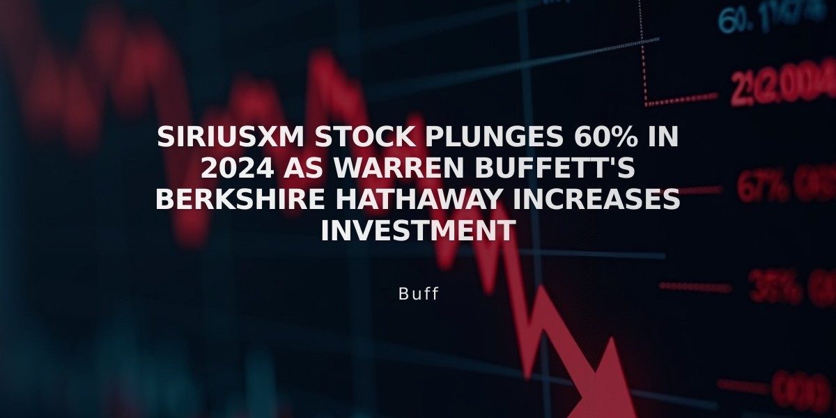 SiriusXM Stock Plunges 60% in 2024 as Warren Buffett's Berkshire Hathaway Increases Investment