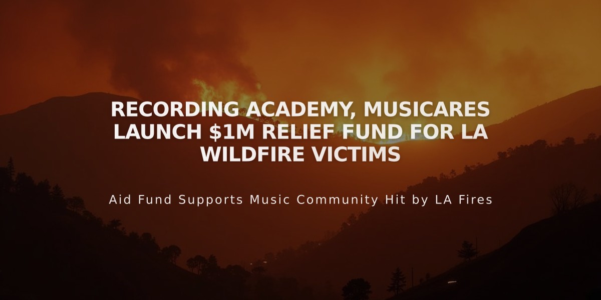 Recording Academy, MusiCares Launch $1M Relief Fund for LA Wildfire Victims