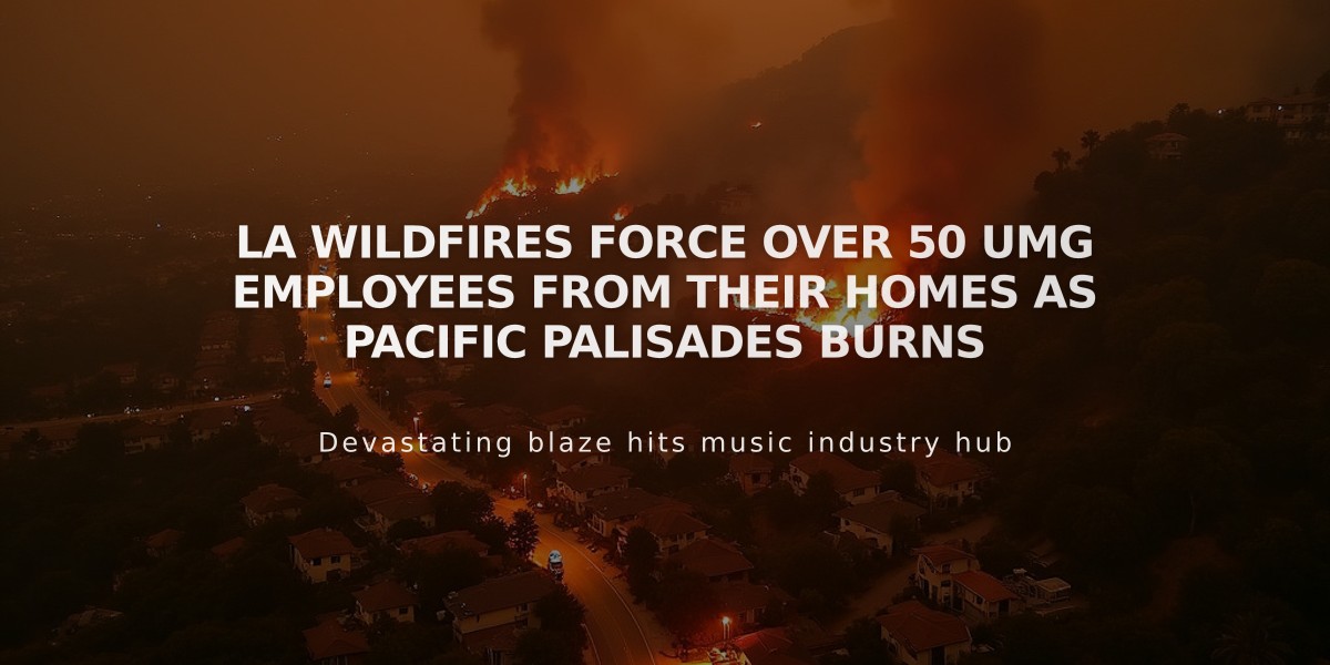 LA Wildfires Force Over 50 UMG Employees From Their Homes as Pacific Palisades Burns