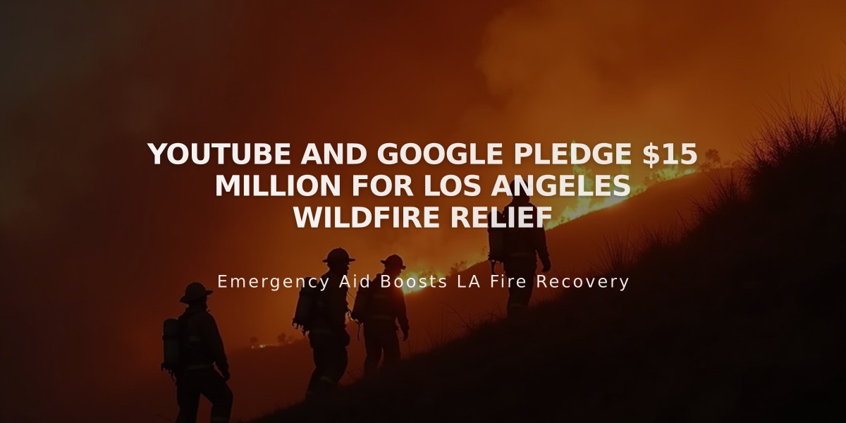 YouTube and Google Pledge $15 Million for Los Angeles Wildfire Relief