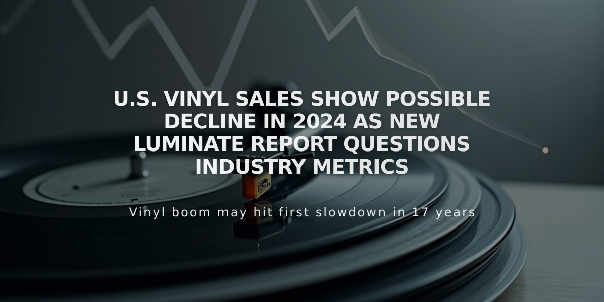 U.S. Vinyl Sales Show Possible Decline in 2024 as New Luminate Report Questions Industry Metrics