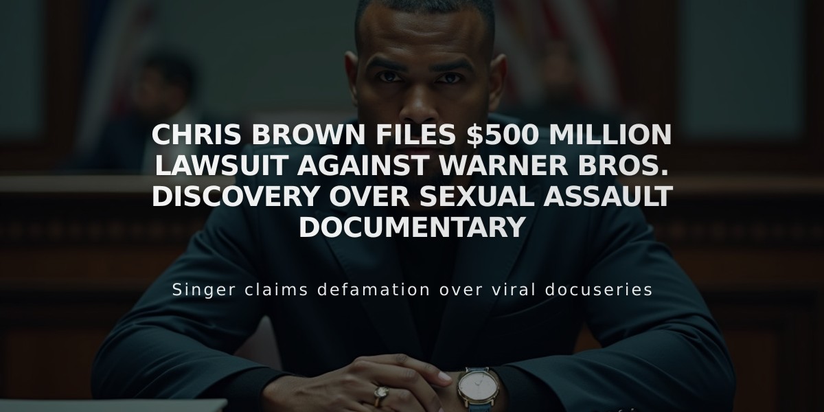 Chris Brown Files $500 Million Lawsuit Against Warner Bros. Discovery Over Sexual Assault Documentary