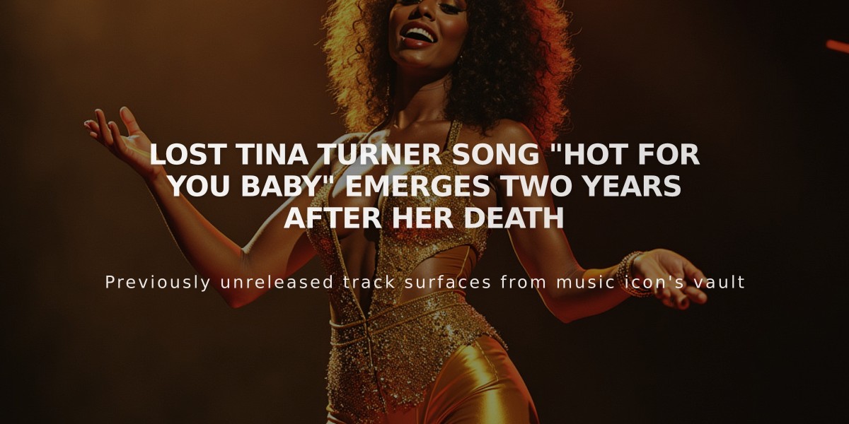 Lost Tina Turner Song "Hot For You Baby" Emerges Two Years After Her Death