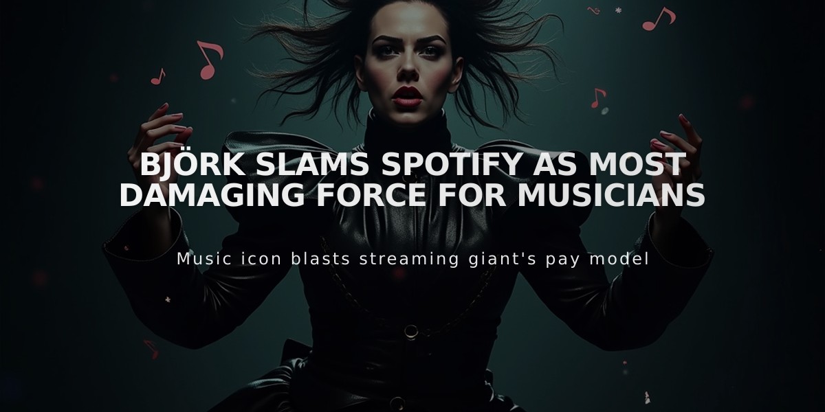 Björk Slams Spotify as Most Damaging Force for Musicians