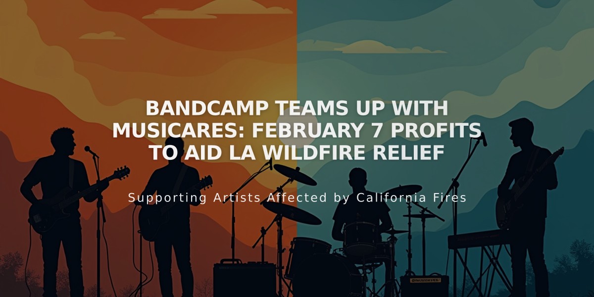 Bandcamp Teams Up with MusiCares: February 7 Profits to Aid LA Wildfire Relief