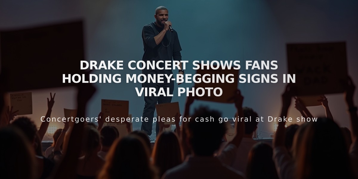 Drake Concert Shows Fans Holding Money-Begging Signs in Viral Photo