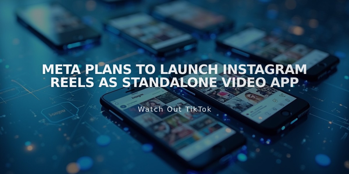 Meta Plans to Launch Instagram Reels as Standalone Video App