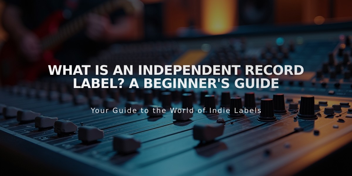 What Is an Independent Record Label? A Beginner's Guide